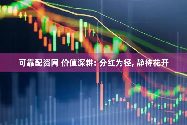 可靠配资网 价值深耕: 分红为径, 静待花开