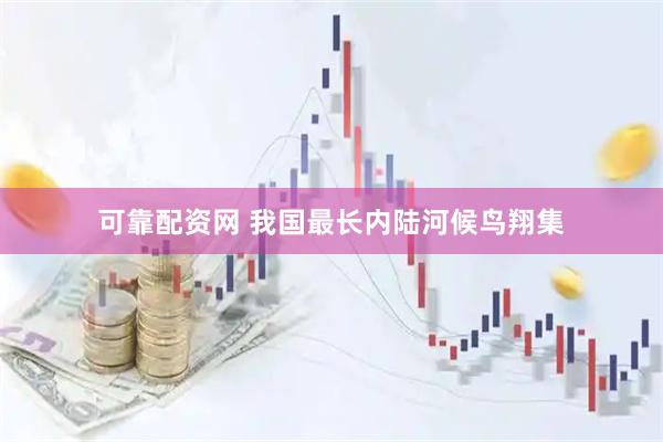 可靠配资网 我国最长内陆河候鸟翔集
