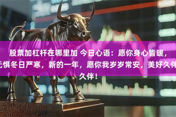 股票加杠杆在哪里加 今日心语：愿你身心皆暖，无惧冬日严寒，新的一年，愿你我岁岁常安，美好久伴！